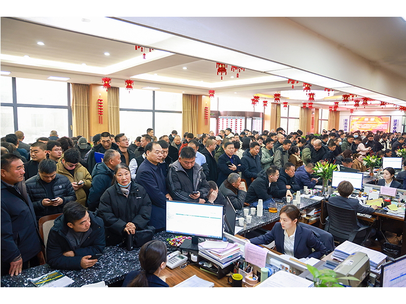 河南ag九游会j9集团|立春又逢“开门红”,奋斗开启新征程