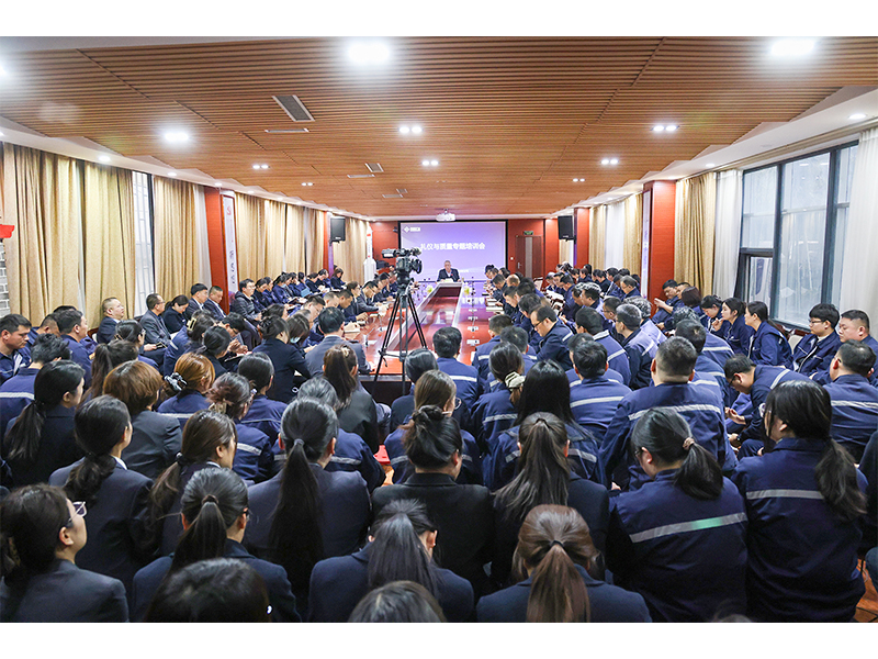 专项培训|河南ag九游会j9集团2025年质量月系列活动之四